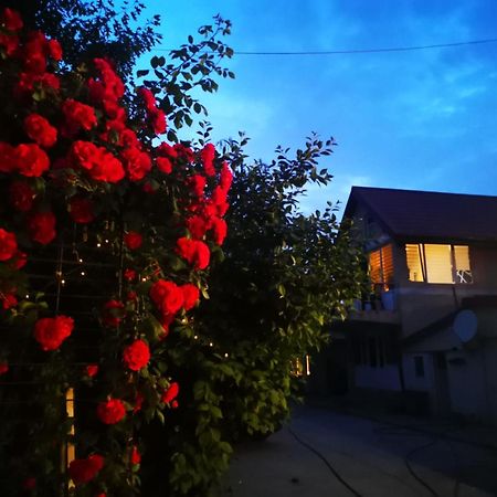 Cristalex Villaverde Bucharest Pantelimon Ngoại thất bức ảnh