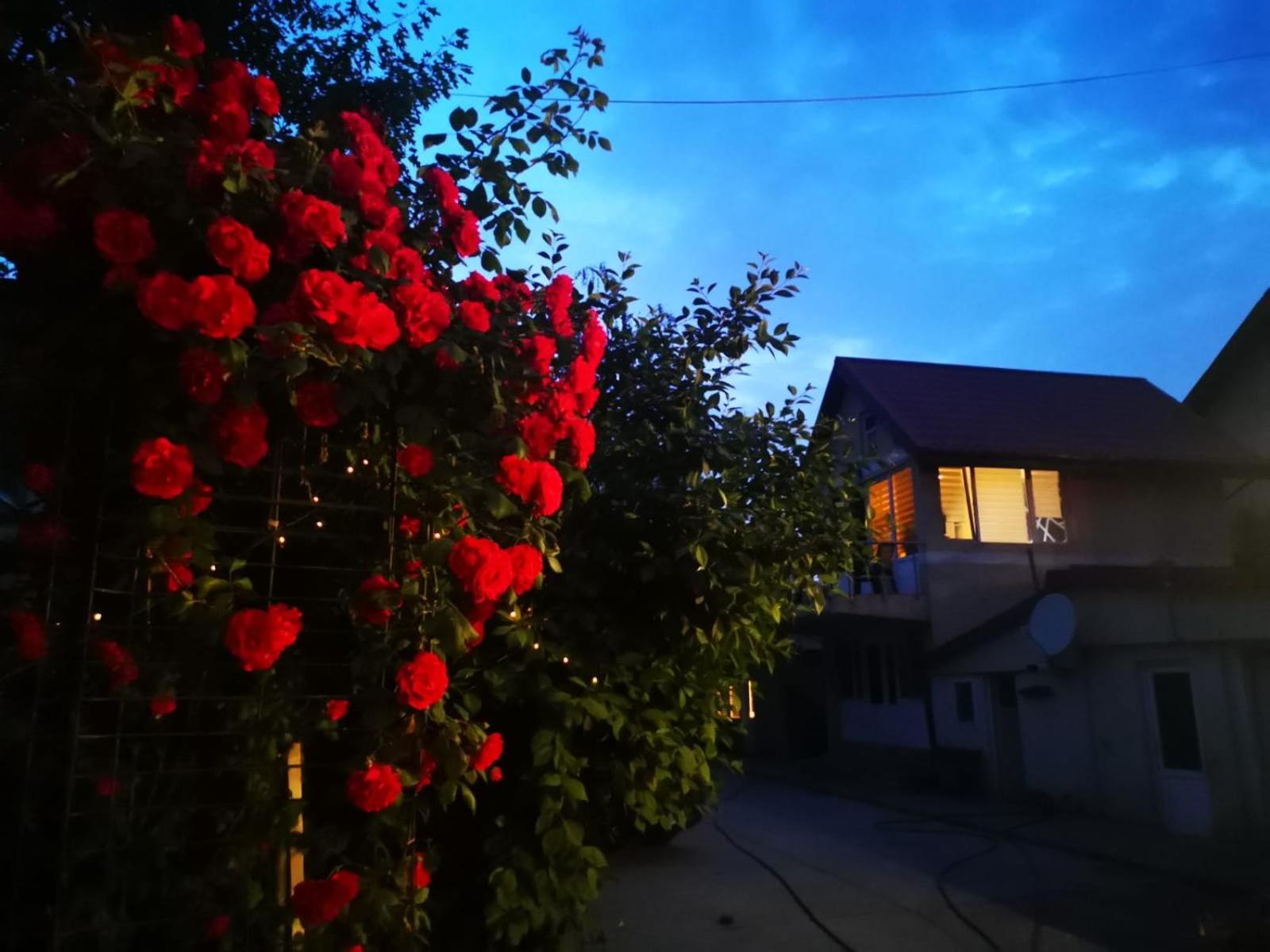 Cristalex Villaverde Bucharest Pantelimon Ngoại thất bức ảnh