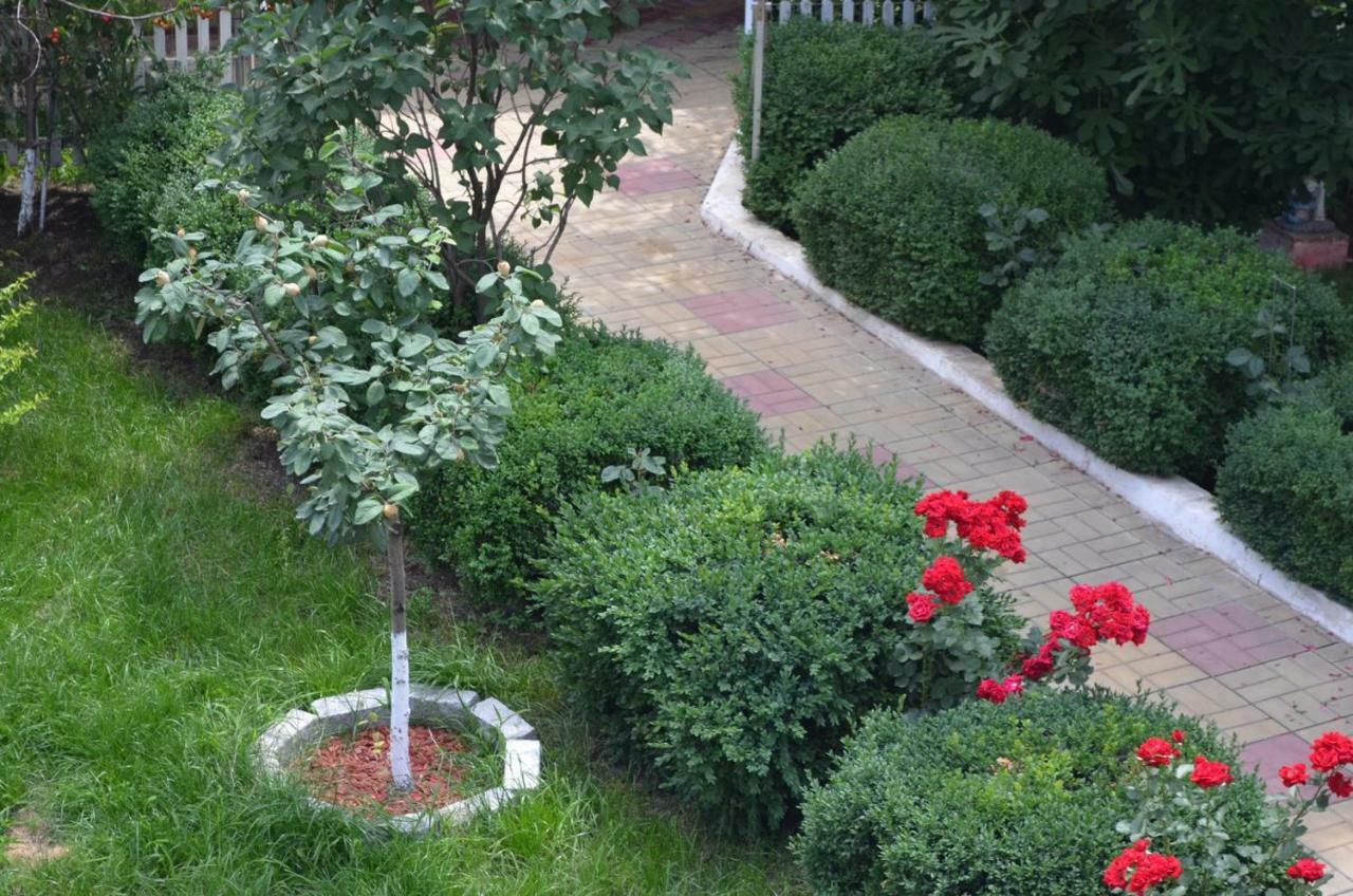 Cristalex Villaverde Bucharest Pantelimon Ngoại thất bức ảnh
